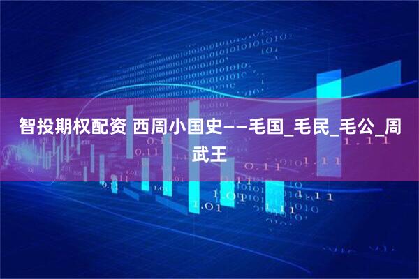 智投期权配资 西周小国史——毛国_毛民_毛公_周武王