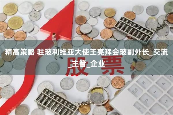 精高策略 驻玻利维亚大使王亮拜会玻副外长_交流_主管_企业