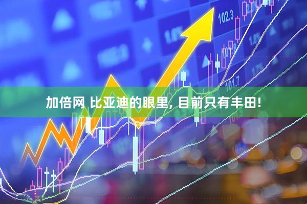 加倍网 比亚迪的眼里, 目前只有丰田!