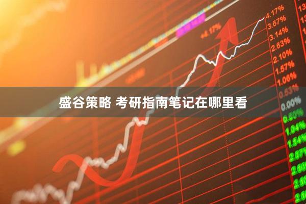 盛谷策略 考研指南笔记在哪里看